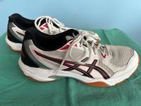 Asics Gel Rocket Größe 42,5 Berlin - Pankow Vorschau