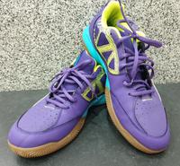 Neuwertige Hallenschuhe Puma Evo Speed 5 lila Gr 44 ½ Hessen - Münchhausen Vorschau