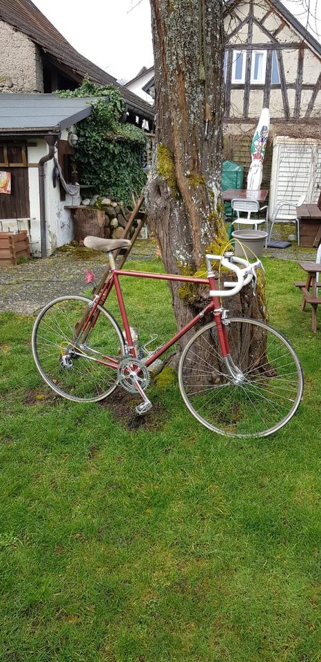 Bonanza Vintage Rennrad (Baujahr 1977) in Lottstetten