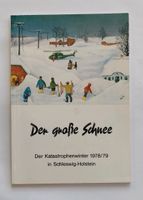 Der große Schnee 1978/1979 Der Katastrophenwinter Baden-Württemberg - Heilbronn Vorschau
