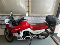 Honda Transalp 600v PD06 erste Hand Hessen - Buseck Vorschau