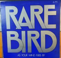 Rare Bird - As your mind flies by Schwerin - Großer Dreesch Vorschau