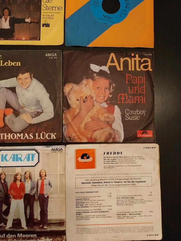 9 Diverse Alte Venyl Single Schallplatten-5 in Lüneburg