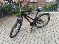 Bulls Mountainbike Fahrrad 26 Zoll mit Rücktrittbremse UVP 549€ Baden-Württemberg - Mannheim Vorschau