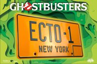 Ghostbusters: ECTO-1-Nummernschild-Replik Doctor Collector Hessen - Weilmünster Vorschau