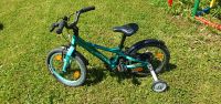 Kinderfahrrad 16 Zoll TOP Zustand Bayern - Schweinfurt Vorschau