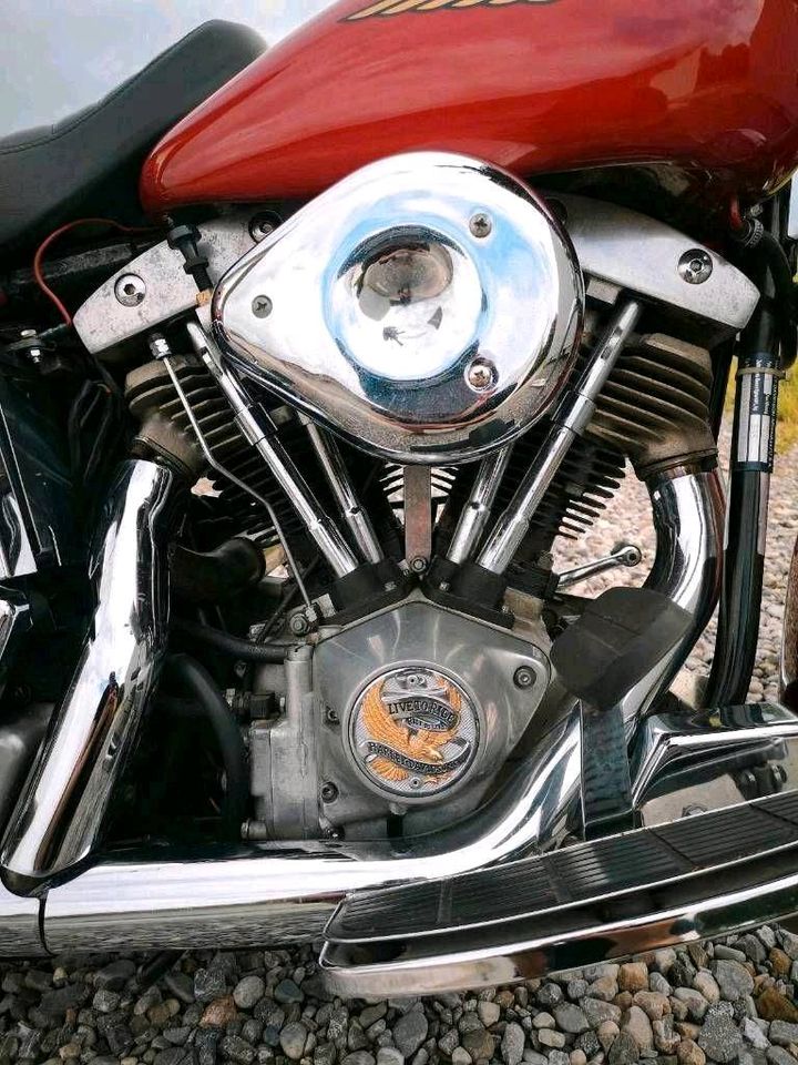 Harley Davidson FLH80 Electra E-Glide Belt Drive Shovelhead-Video in Burggen