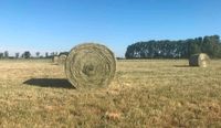 Heu erster Schnitt Futterheu Pferdeheu uu verkaufen Bayern - Hammelburg Vorschau