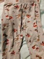 Leggins Mitgrün mit Tiermotiven in 116 Rheinland-Pfalz - Zornheim Vorschau