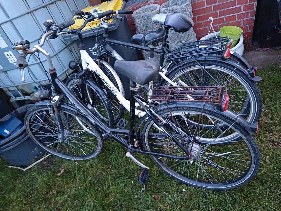 Fahrrad  28 Damen  oder Herren in Ahlen