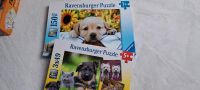 Ravensburger Puzzel Puzzle 49  150 Hund Katzen Baden-Württemberg - Pfullingen Vorschau