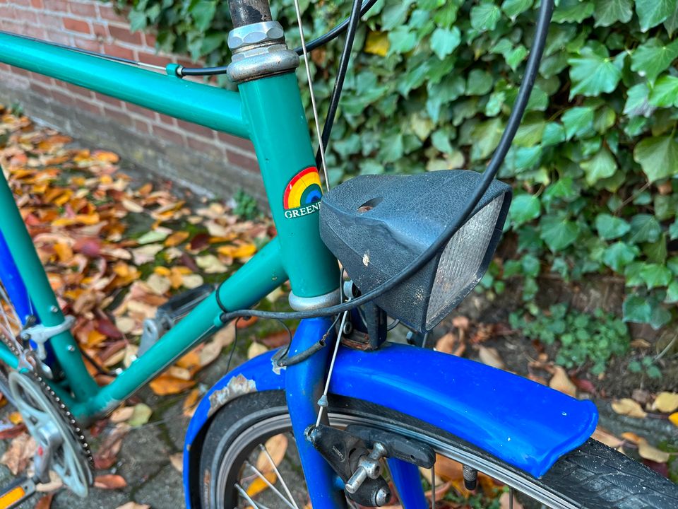 Öko Kult Fahrrad Greenpeace Herren 80er in Hannover