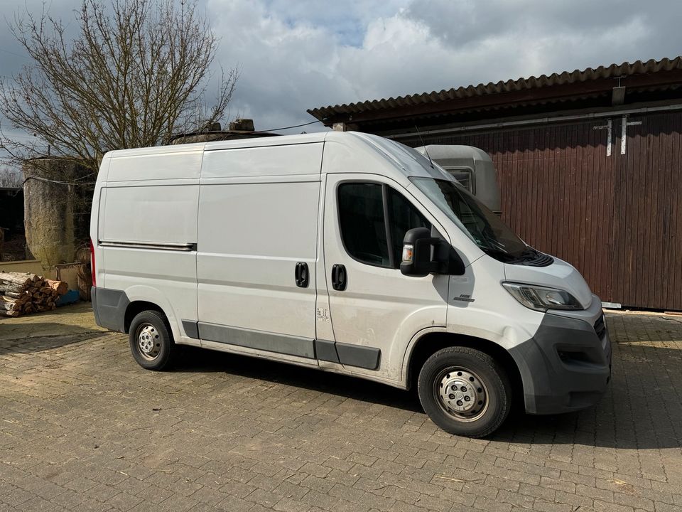 Fiat Ducato L2 H2 nicht Fahrbereit Mwst. Ausweisbar in Usingen