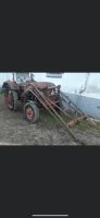 Hanomag Frontlader kein ihc Fendt Deutz Oldtimer Traktor Rheinland-Pfalz - Luxem Vorschau