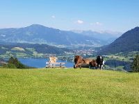 Ferienwohnung Urlaub Bodensee Isny Allgäu Baden-Württemberg - Isny im Allgäu Vorschau