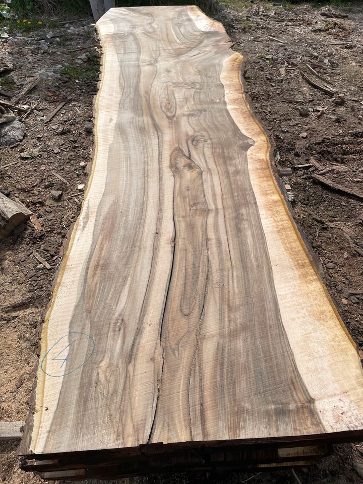 Nussbaum  XXL Tischplatte Bohlen Massivholz Groß Rivertable ☘️❤️ in Pottenstein