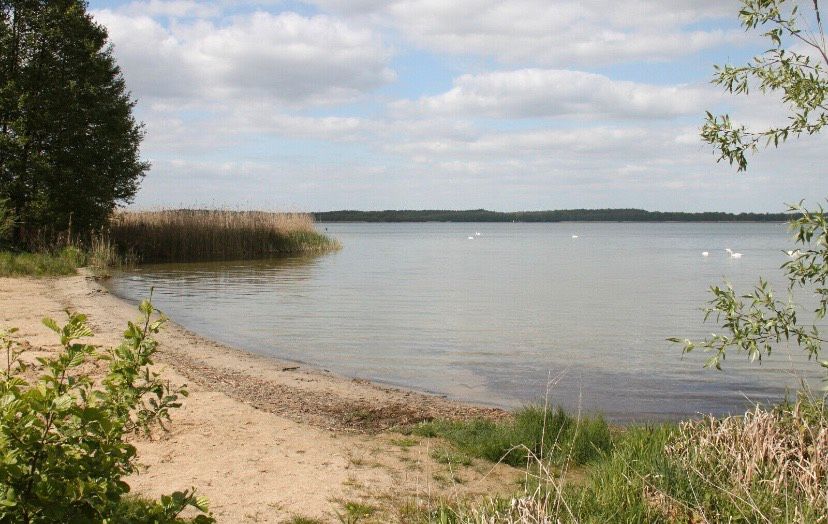 Ferienwohnung am See 31.07.22 bzw. 07.08.22 für 3 P in Halle