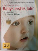 Das große Buch für Babys erstes Jahr der standardwerk , neuwertig Nordrhein-Westfalen - Gelsenkirchen Vorschau