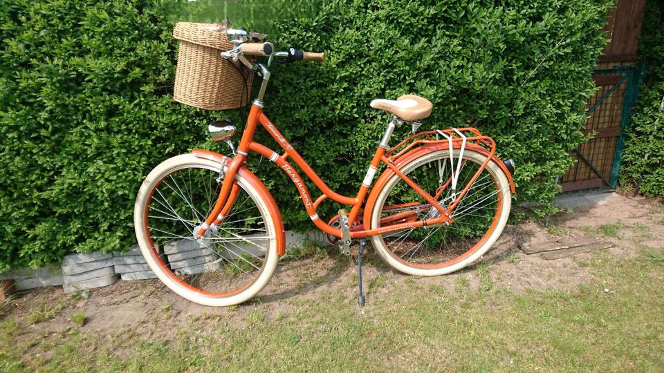 Damen Fahrrad in Genthin