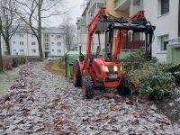 Laubsammlen Mulchen mit Aufnahme Hochgrasmähen Rasenmähen Niedersachsen - Osterholz-Scharmbeck Vorschau