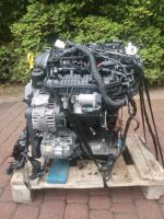 SEAT LEON VW GOLF AUDI A3 CJX CXC DJH DNU 2,0 TFSI MOTOR KOMPLETT Nordrhein-Westfalen - Leverkusen Vorschau