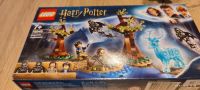 Lego Harry Potter Nr. 75945 Düsseldorf - Grafenberg Vorschau