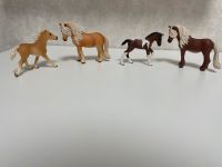 Schleich Horse Club Pferde + Fohlen Rheinland-Pfalz - Ludwigshafen Vorschau