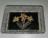 Getrocknete Edelweiss Kristallglas Schale Schälchen Antik Niedersachsen - Obernkirchen Vorschau