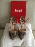 Pumps von Högl, Gr. 36, Schlangenprint Köln - Porz Vorschau