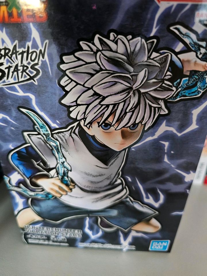 Hunter x hunter killua figur in Erlangen