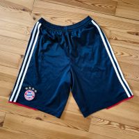 adidas FC Bayern München Shorts Größe S blau München - Ludwigsvorstadt-Isarvorstadt Vorschau