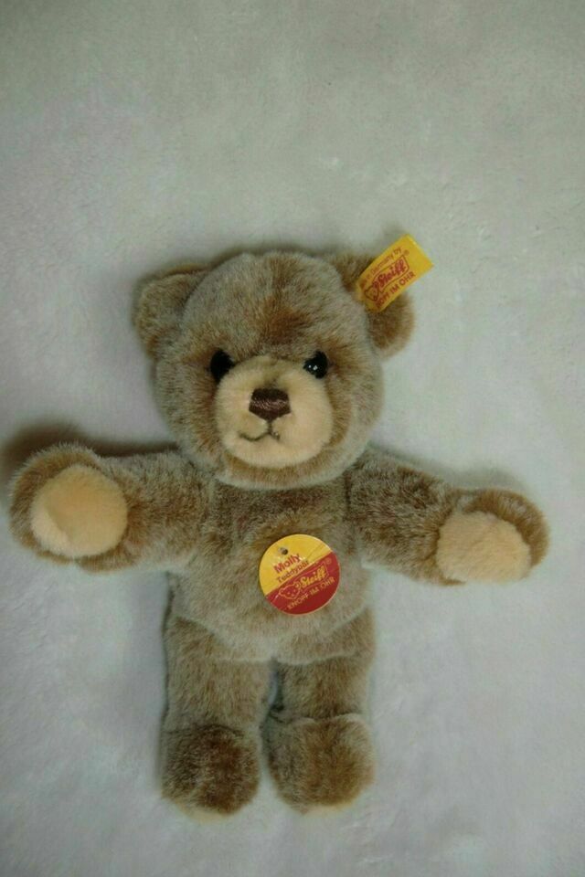 Steiff Teddy Molly 019500 (2 x vorhanden ab 59 €) in Bebra