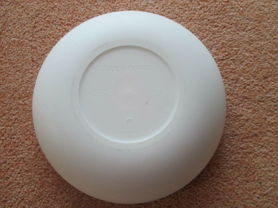 Tupperware Allegra grün Schüssel 740 ml in Kyritz