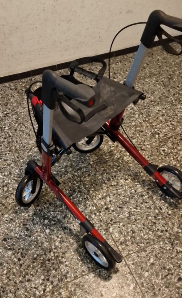 Gehwagen/ Leichtgewicht Rollator von Server in Pinneberg