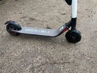 E Scooter zu verkaufen Brandenburg - Strausberg Vorschau