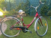 Damenfahrrad 28 Zoll Pegasus Elberfeld - Elberfeld-West Vorschau