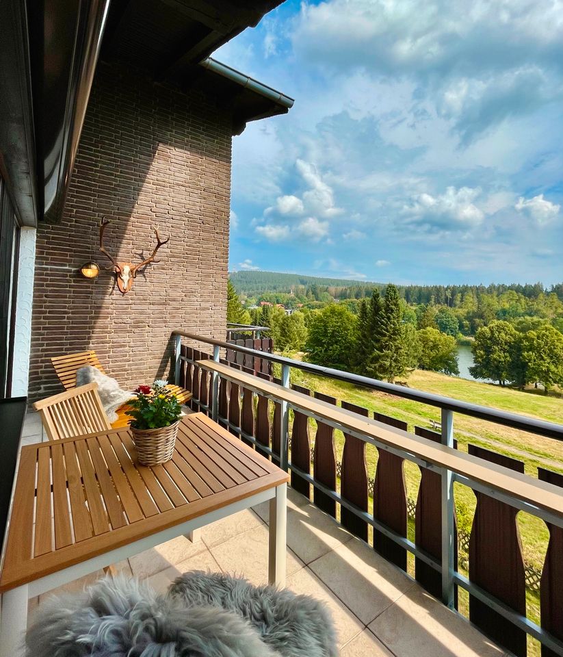 Ferienwohnung in Hahnenklee mit Blick auf Berg, Wald und See in Goslar