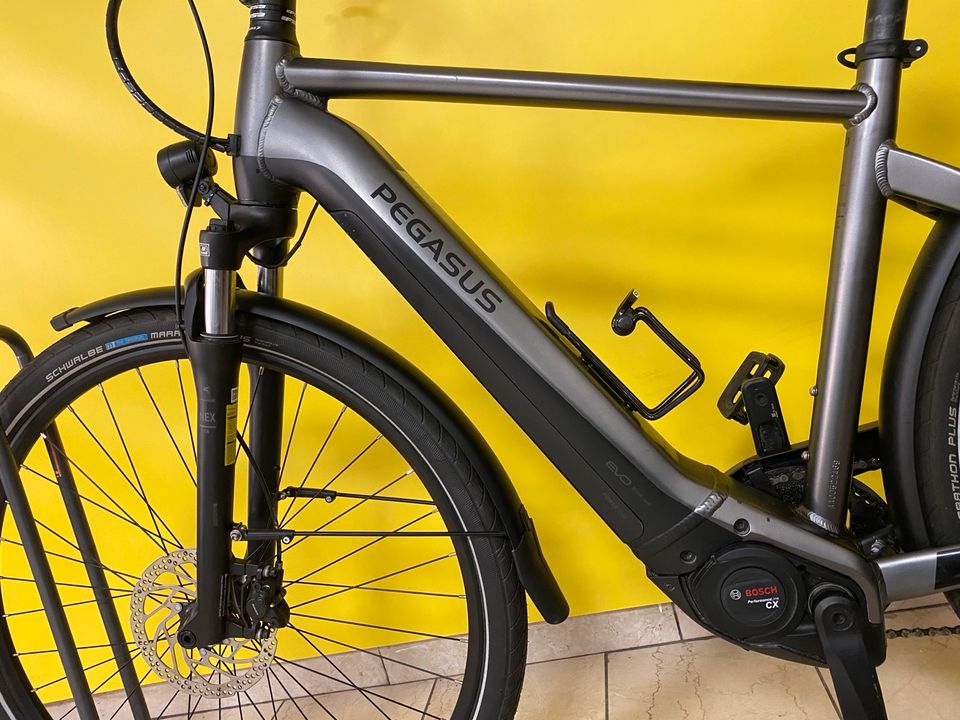 Pegasus Premio Evo E-Bike Bosch 625Wh CX 50cm 394km in Duisburg