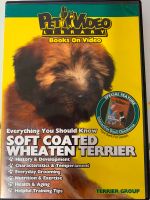 Soft Coated Wheaten Terrier DVD engl. Seltenheit Rasse Film Brandenburg - Schipkau Vorschau