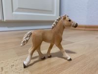 Schleich Haflinger Hengstfohlen Rheinland-Pfalz - Alpenrod Vorschau