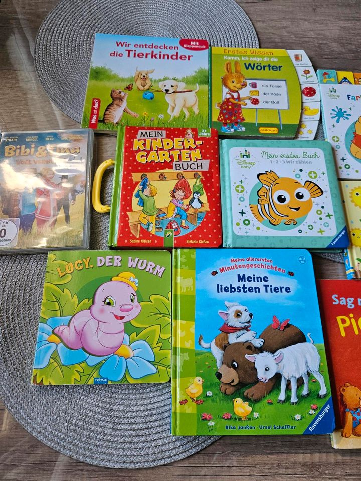 Lernbücher für Kinder und DVD in Königslutter am Elm