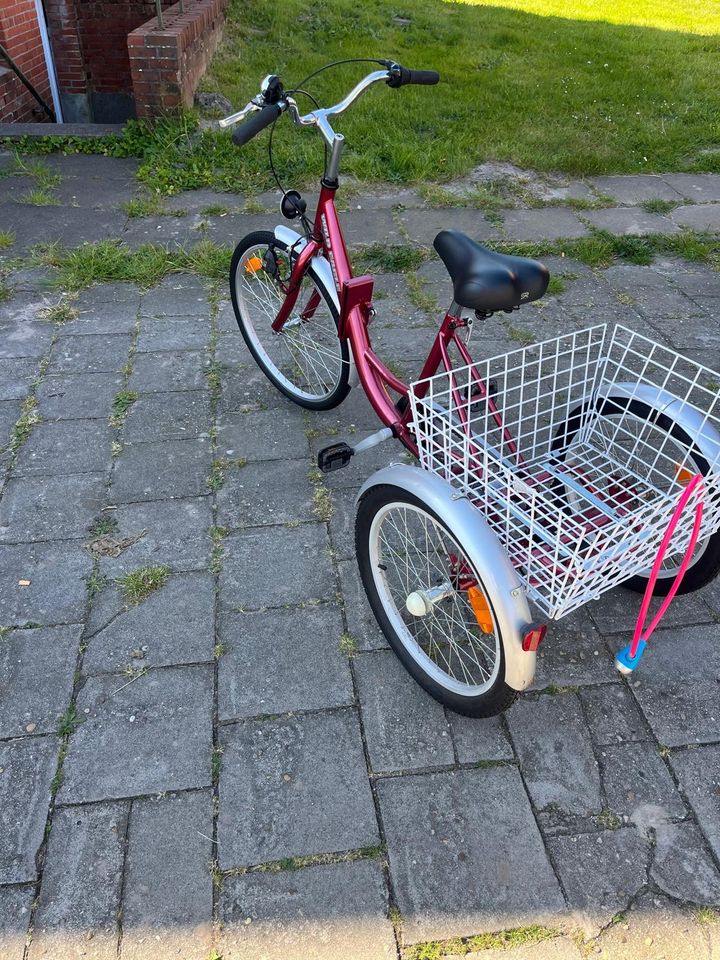 Fahrrad / Erwachsenendreirad in Wittmund