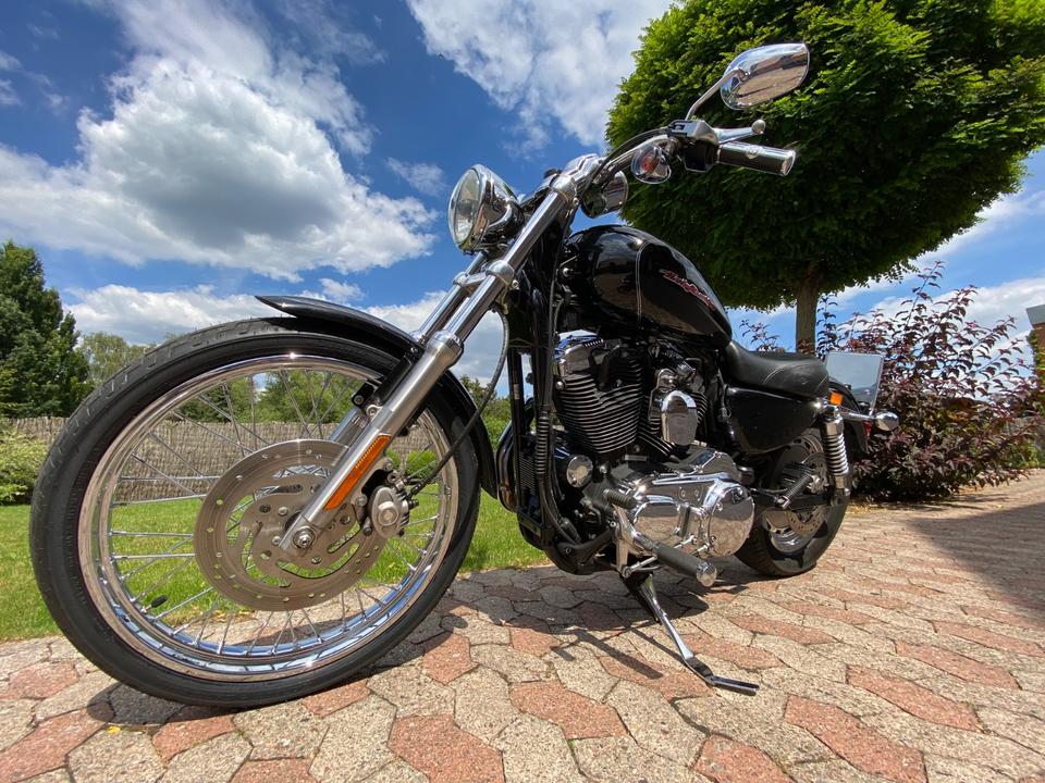 Harley Davidson Sportster Custom XL1200 SE in Bad Pyrmont