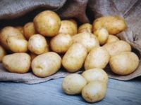 Kartoffeln Belana Speisekartoffeln Niedersachsen - Gehrden Vorschau