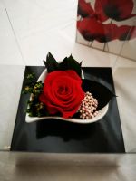 Smeraldino Rose in Herzschale Bayern - Scheyern Vorschau