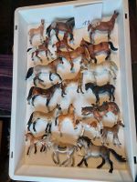 Konvolut 13 Schleich Pferde Pinto Quarter Horse Achal Tekkiner Niedersachsen - Ilsede Vorschau