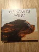 Die Nase im Wind   - TOP wie neu  (Nr. 1548) Niedersachsen - Lohne (Oldenburg) Vorschau