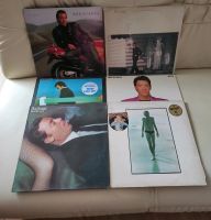 Shallplatten Sammlung.Boz Scaggs (ex-Steve Miller Band) Nordrhein-Westfalen - Ratingen Vorschau