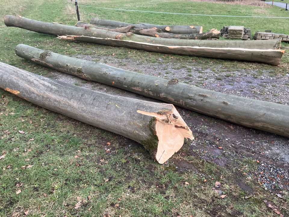 Kaminholz Brennholz Buche ungespalten auf 30cm/25cm gesägt in Bielefeld