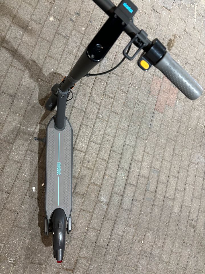 Segway E-Scooter MAX G30D in Haßloch